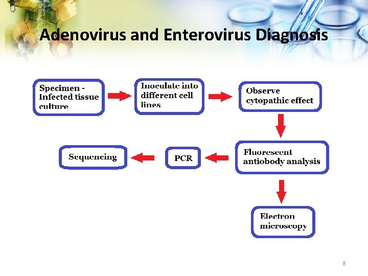 Adenovirus and Enterovirus Diagnosis 8 