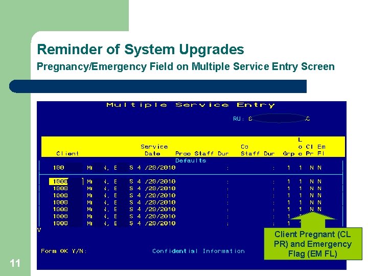 Reminder of System Upgrades Pregnancy/Emergency Field on Multiple Service Entry Screen 11 Client Pregnant