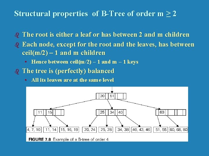 Structural properties of B-Tree of order m ≥ 2 b b The root is