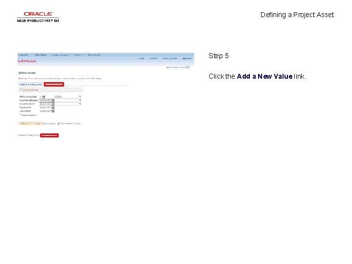 Defining a Project Asset Step 5 Click the Add a New Value link. 