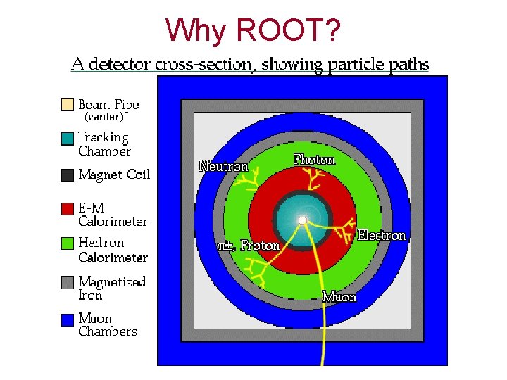 Why ROOT? 