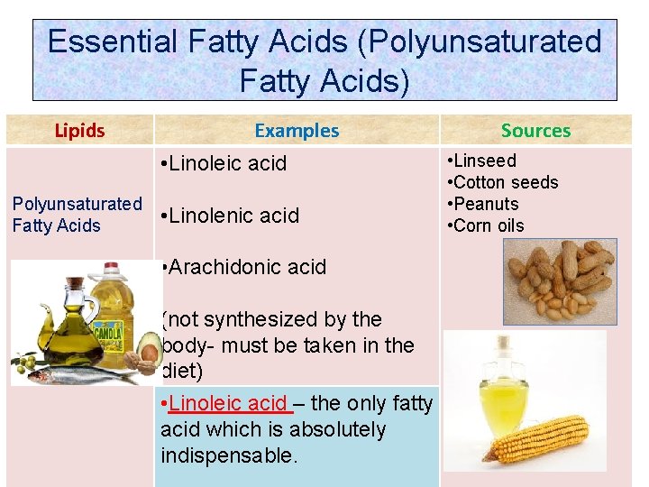 Essential Fatty Acids (Polyunsaturated Fatty Acids) Lipids Examples • Linoleic acid Polyunsaturated Fatty Acids