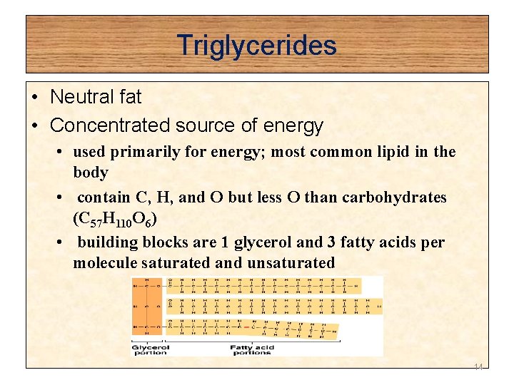 Triglycerides • Neutral fat • Concentrated source of energy • used primarily for energy;