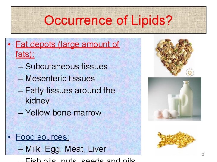 Occurrence of Lipids? • Fat depots (large amount of fats): – Subcutaneous tissues –