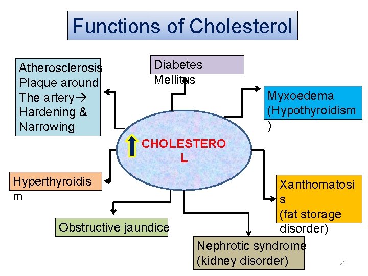 Functions of Cholesterol Atherosclerosis Plaque around The artery Hardening & Narrowing Diabetes Mellitus Myxoedema