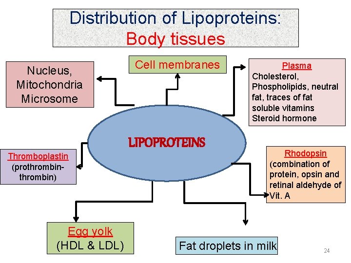 Distribution of Lipoproteins: Body tissues Nucleus, Mitochondria Microsome Thromboplastin (prothrombin) Egg yolk (HDL &