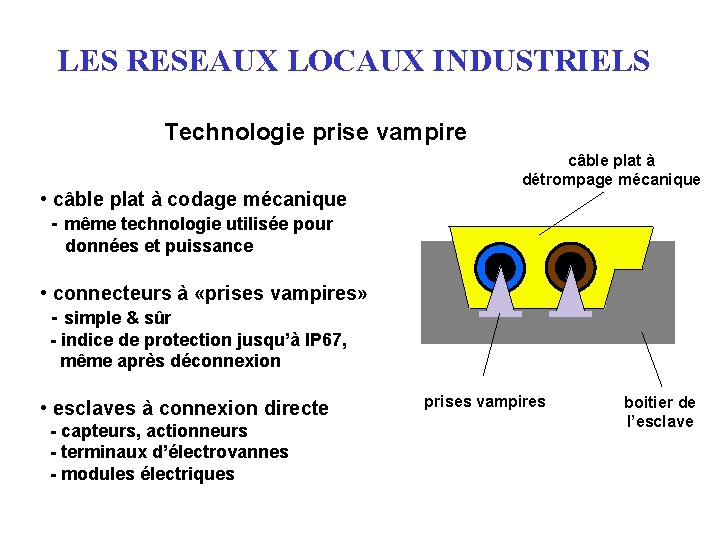 LES RESEAUX LOCAUX INDUSTRIELS Technologie prise vampire • câble plat à codage mécanique -