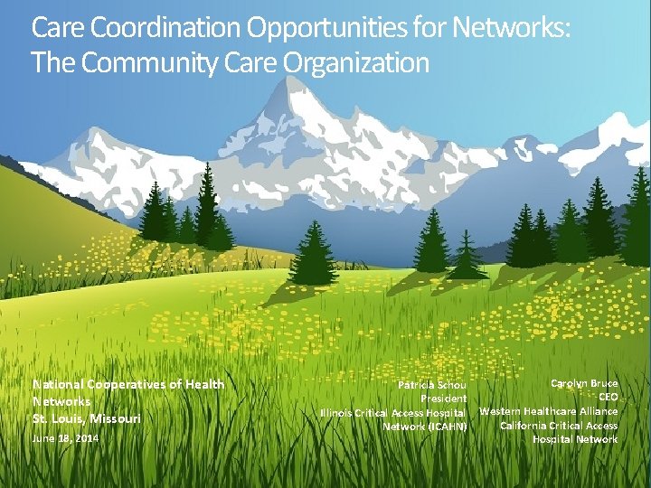 Care Coordination Opportunities for Networks: The Community Care Organization National Cooperatives of Health Networks