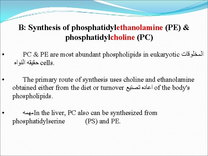 B: Synthesis of phosphatidylethanolamine (PE) & phosphatidylcholine (PC) • PC & PE are most