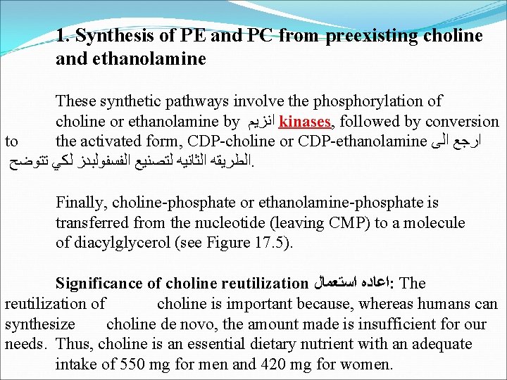 1. Synthesis of PE and PC from preexisting choline and ethanolamine These synthetic pathways