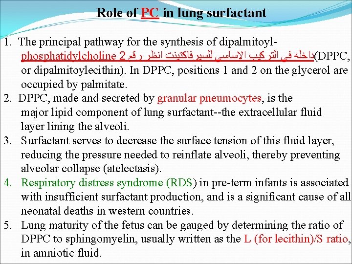 Role of PC in lung surfactant 1. The principal pathway for the synthesis of