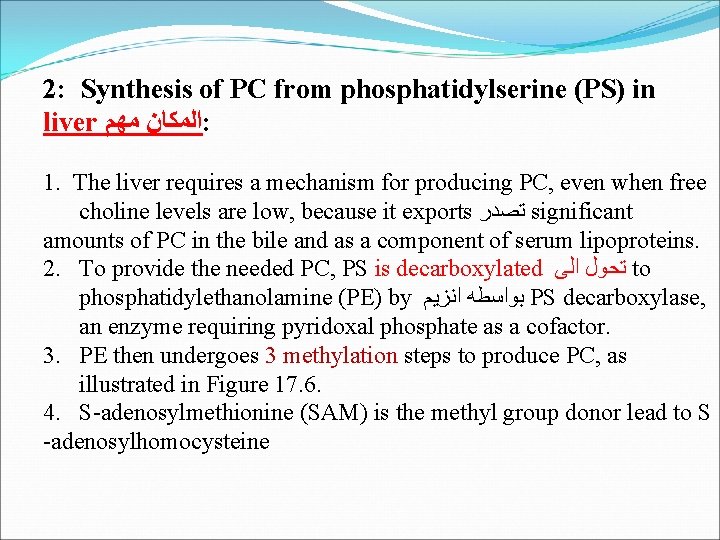 2: Synthesis of PC from phosphatidylserine (PS) in liver ﻣﻬﻢ ﺍﻟﻤﻜﺎﻥ : 1. The