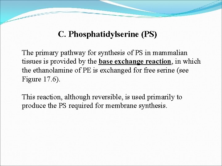 C. Phosphatidylserine (PS) The primary pathway for synthesis of PS in mammalian tissues is
