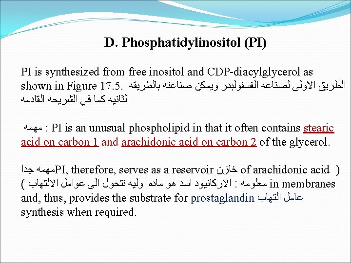  D. Phosphatidylinositol (PI) PI is synthesized from free inositol and CDP-diacylglycerol as shown