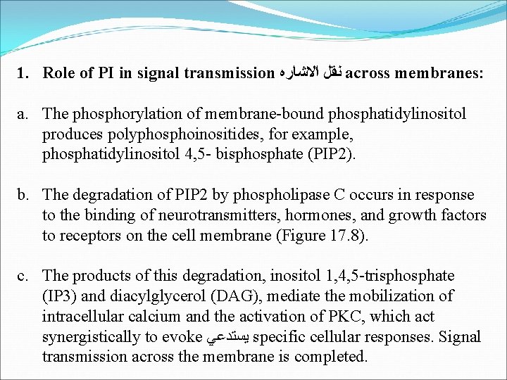 1. Role of PI in signal transmission ﺍﻻﺷﺎﺭﻩ ﻧﻘﻞ across membranes: a. The phosphorylation