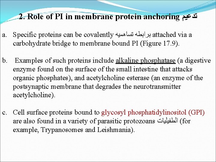 2. Role of PI in membrane protein anchoring ﺗﺪﻋﻴﻢ a. Specific proteins can be