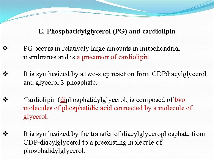 E. Phosphatidylglycerol (PG) and cardiolipin v v PG occurs in relatively large amounts in