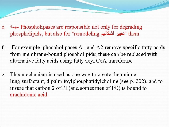 e. ﻣﻬﻤﻪ Phospholipases are responsible not only for degrading phospholipids, but also for "remodeling