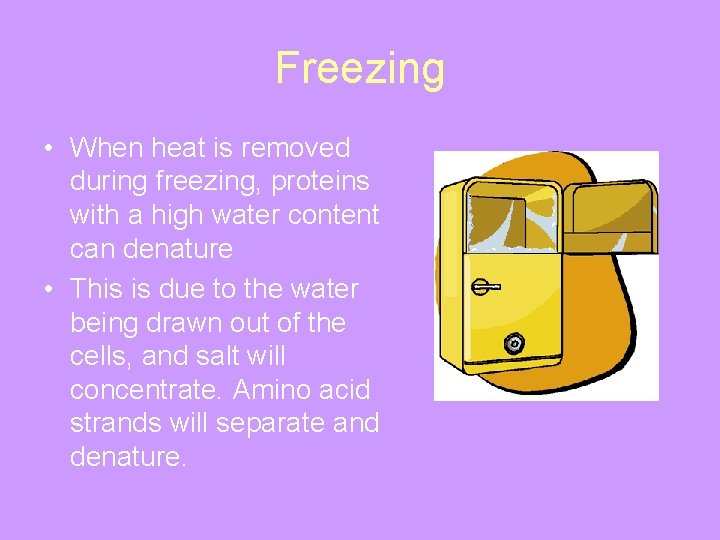 Freezing • When heat is removed during freezing, proteins with a high water content
