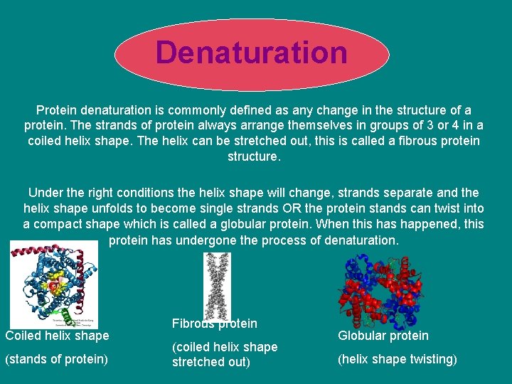 Denaturation Protein denaturation is commonly defined as any change in the structure of a