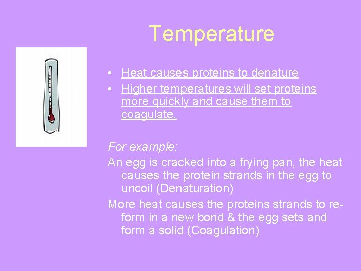 Temperature • Heat causes proteins to denature • Higher temperatures will set proteins more