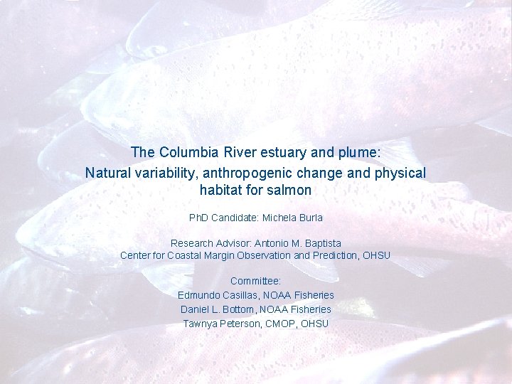 The Columbia River estuary and plume: Natural variability, anthropogenic change and physical habitat for