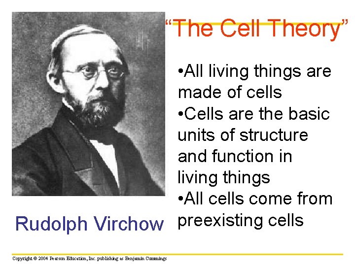 “The Cell Theory” • All living things are made of cells • Cells are