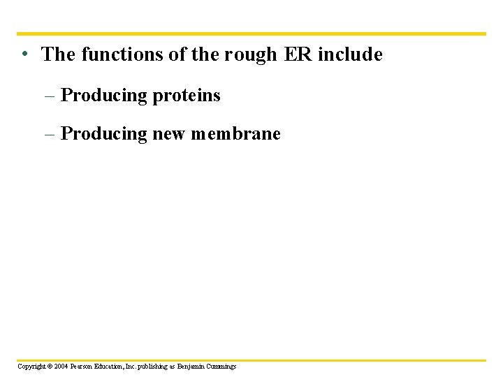  • The functions of the rough ER include – Producing proteins – Producing