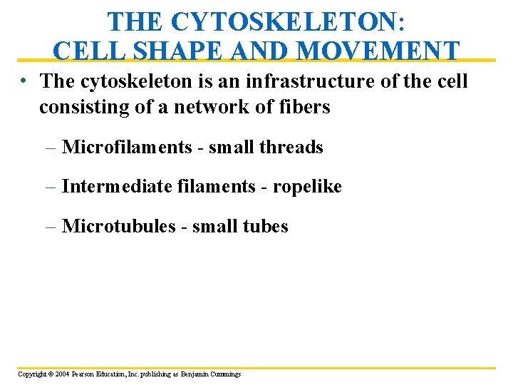 THE CYTOSKELETON: CELL SHAPE AND MOVEMENT • The cytoskeleton is an infrastructure of the