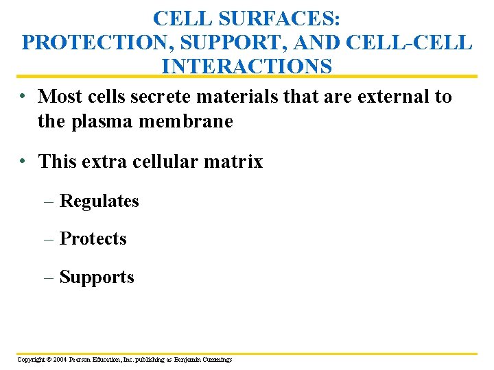 CELL SURFACES: PROTECTION, SUPPORT, AND CELL-CELL INTERACTIONS • Most cells secrete materials that are