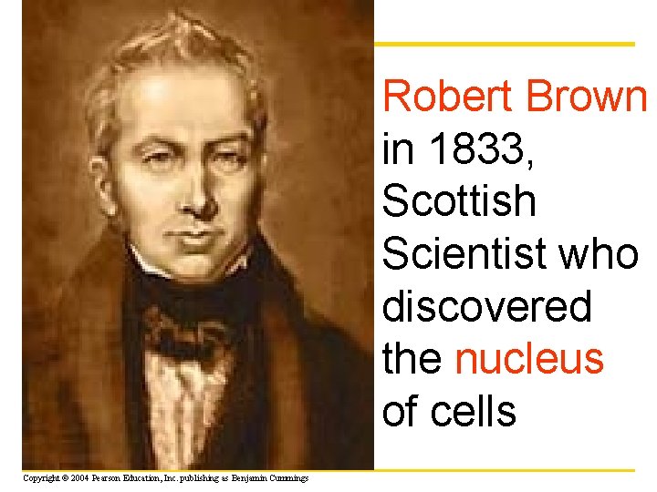 Robert Brown in 1833, Scottish Scientist who discovered the nucleus of cells Copyright ©