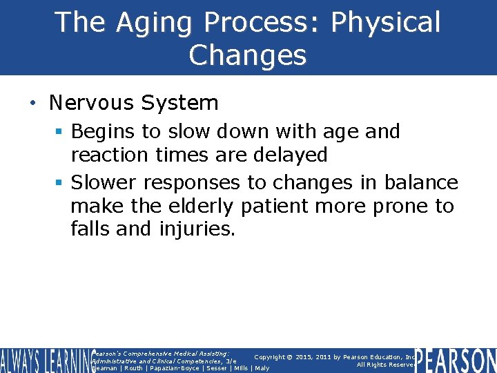 The Aging Process: Physical Changes • Nervous System § Begins to slow down with