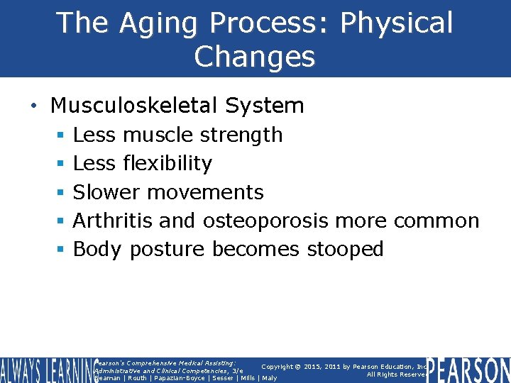 The Aging Process: Physical Changes • Musculoskeletal System § § § Less muscle strength