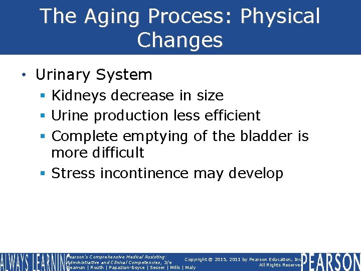 The Aging Process: Physical Changes • Urinary System § Kidneys decrease in size §