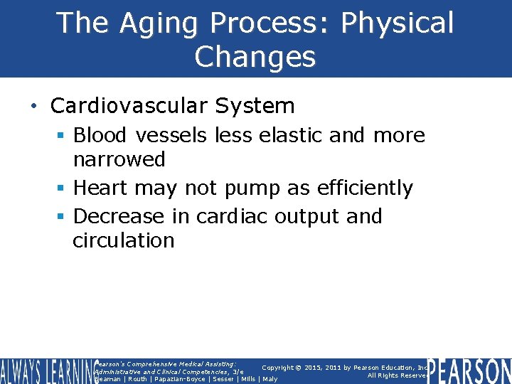 The Aging Process: Physical Changes • Cardiovascular System § Blood vessels less elastic and