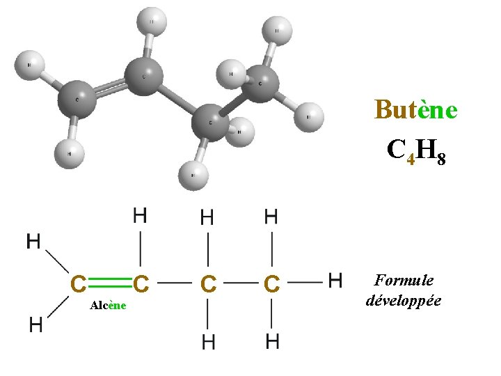 Butène C 4 H 8 C C Alcène C C Formule développée 
