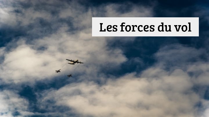 Les forces du vol Les forces du vol