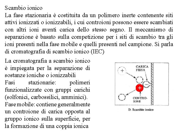 Scambio ionico La fase stazionaria è costituita da un polimero inerte contenente siti attivi