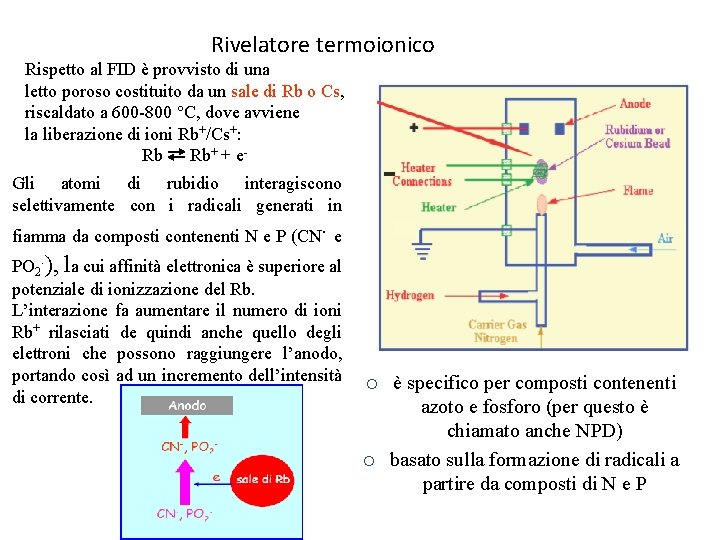 Rivelatore termoionico Rispetto al FID è provvisto di una letto poroso costituito da un