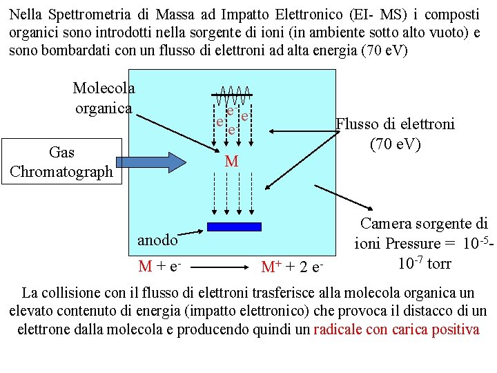 Nella Spettrometria di Massa ad Impatto Elettronico (EI- MS) i composti organici sono introdotti