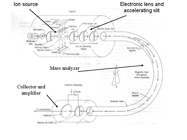 Ion source Electronic lens and accelerating slit Mass analyzer Collector and amplifier 
