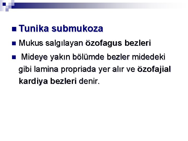 n Tunika submukoza n Mukus salgılayan özofagus bezleri n Mideye yakın bölümde bezler midedeki