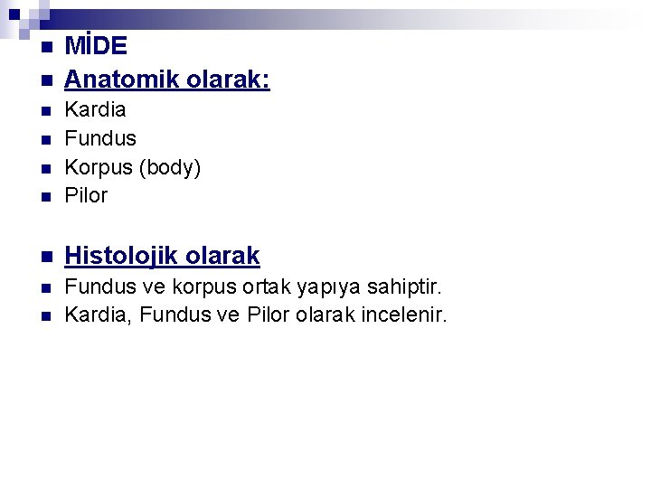 n n MİDE Anatomik olarak: n Kardia Fundus Korpus (body) Pilor n Histolojik olarak