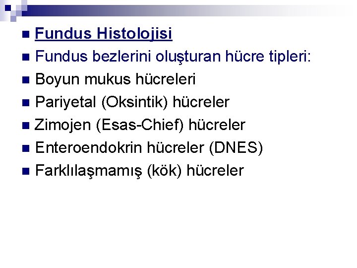 Fundus Histolojisi n Fundus bezlerini oluşturan hücre tipleri: n Boyun mukus hücreleri n Pariyetal