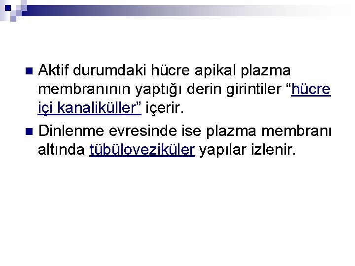 Aktif durumdaki hücre apikal plazma membranının yaptığı derin girintiler “hücre içi kanaliküller” içerir. n