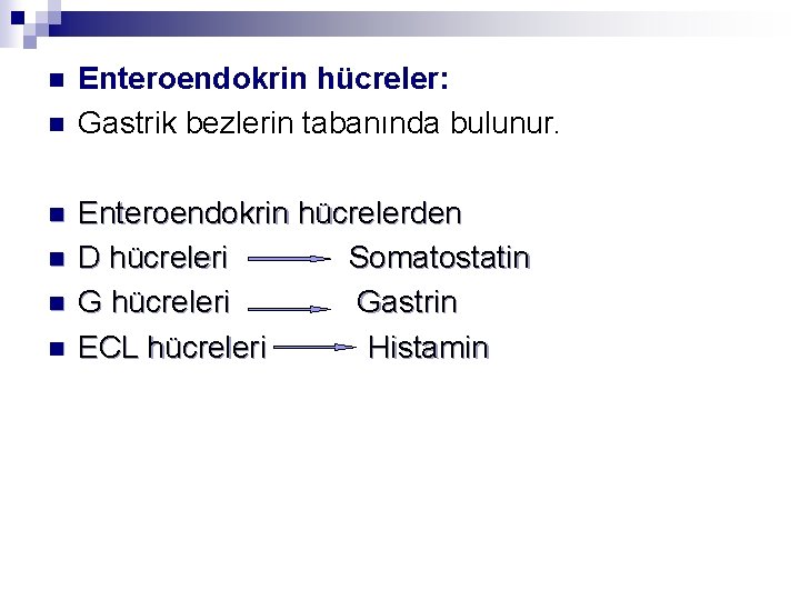 n n n Enteroendokrin hücreler: Gastrik bezlerin tabanında bulunur. Enteroendokrin hücrelerden D hücreleri Somatostatin