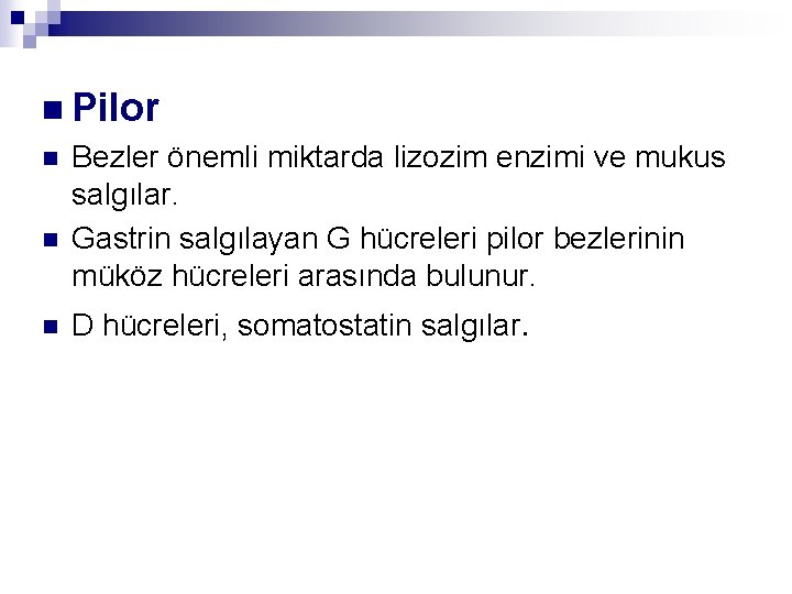 n Pilor n n n Bezler önemli miktarda lizozim enzimi ve mukus salgılar. Gastrin