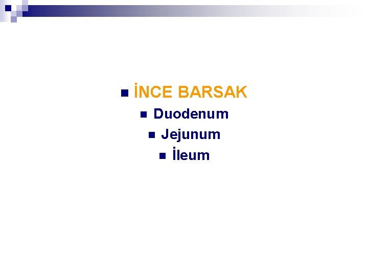 n İNCE BARSAK Duodenum n Jejunum n İleum n 