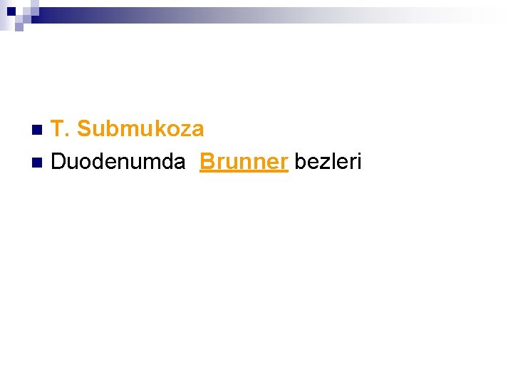 T. Submukoza n Duodenumda Brunner bezleri n 