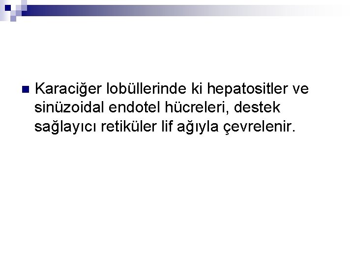 n Karaciğer lobüllerinde ki hepatositler ve sinüzoidal endotel hücreleri, destek sağlayıcı retiküler lif ağıyla